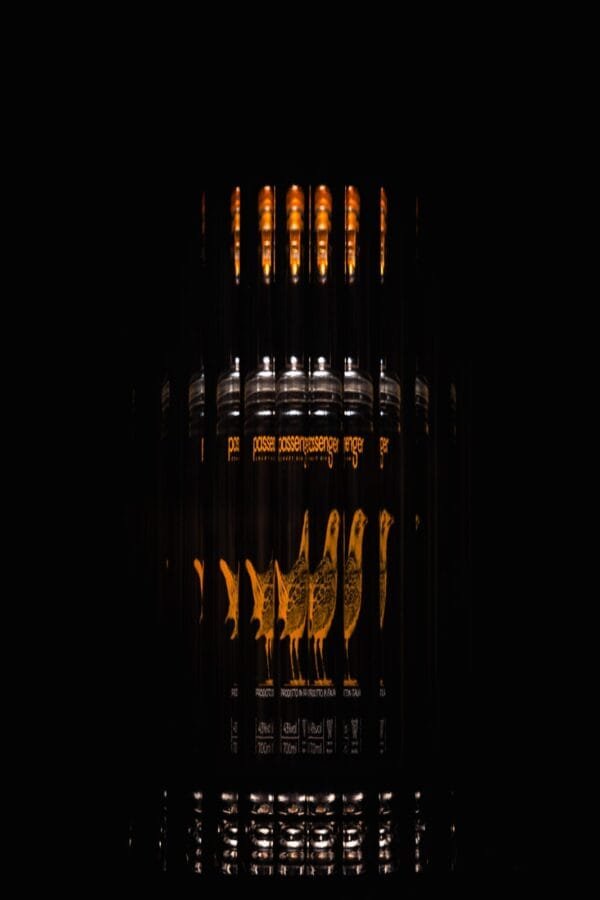 passenger craft gin 06